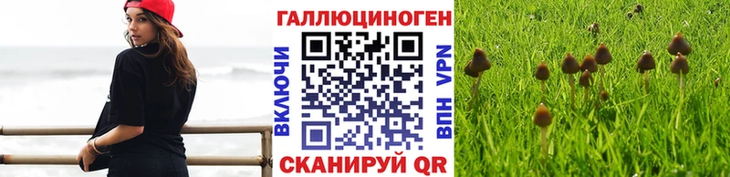 Галлюциногенные грибы Cubensis  наркотики  Нариманов 